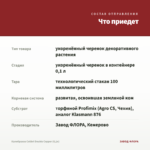 Калибрахоа Colibri Double Copper (0,1л) — что приедет