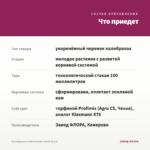 Калибрахоа Colibri Double Violet (0,1л) — что приедет