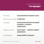 Калибрахоа Colibri Double Violet (срезы/5шт) — что приедет