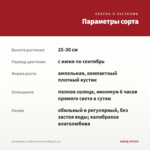 Калибрахоа Colibri Exotic Red Bling (0,1л) — параметры сорта