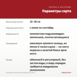 Калибрахоа Colibri Exotic Red Bling (срезы/5шт) — параметры сорта
