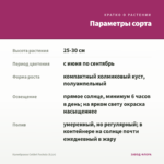 Калибрахоа Colibri Fuchsia (0,1л) — параметры сорта