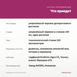 Калибрахоа Colibri Fuchsia (0,1л) — что приедет