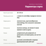 Калибрахоа Colibri Fuchsia (0,1л) — параметры сорта