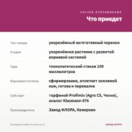 Калибрахоа Colibri Fuchsia (0,1л) — что приедет