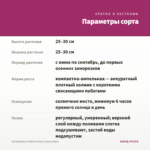 Калибрахоа Colibri Fuchsia (срезы/5шт) — параметры сорта