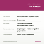 Калибрахоа Colibri Fuchsia (срезы/5шт) — что приедет