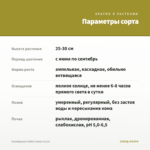 Калибрахоа Colibri Lemon (0,1л) — параметры сорта