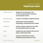 Калибрахоа Colibri Lemon (0,1л) — параметры сорта