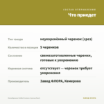 Калибрахоа Colibri Lemon (срезы/5шт) — что приедет
