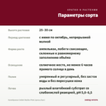 Калибрахоа Colibri Malibu Pink (срезы/5шт) — параметры сорта