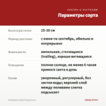 Калибрахоа Colibri Orange (0,1л) — параметры сорта