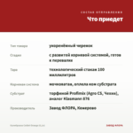 Калибрахоа Colibri Orange (0,1л) — что приедет