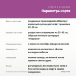 Калибрахоа Colibri Pink Flamingo (0,1л) — параметры сорта