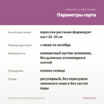 Калибрахоа Colibri Pink Flamingo (срез/5шт) — параметры сорта