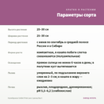 Калибрахоа Colibri Pink Lace (срезы/5шт) — параметры сорта