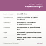 Калибрахоа Colibri Pink Lace (срезы/5шт) — параметры сорта