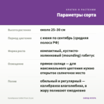 Калибрахоа Colibri Plum (0,1л) — параметры сорта