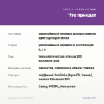 Калибрахоа Colibri Plum (0,1л) — что приедет