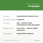 Калибрахоа Colibri Pure White (срезы/5шт) — что приедет