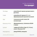 Калибрахоа Colibri Purple Bling (0,1л) — что приедет