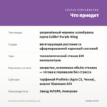 Калибрахоа Colibri Purple Bling (0,1л) — что приедет