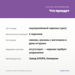 Калибрахоа Colibri Purple Bling (срезы/5шт) — что приедет