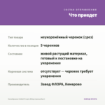 Калибрахоа Colibri Purple Bling (срезы/5шт) — что приедет