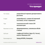 Калибрахоа Colibri Purple Lace (0,1л) — что приедет