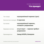 Калибрахоа Colibri Purple Lace (срезы/5шт) — что приедет