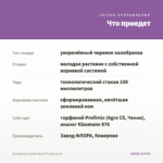 Калибрахоа Colibri Spark Purple (0,1л) — что приедет