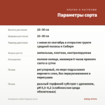 Калибрахоа Colibri Tangerine (0,1л) — параметры сорта