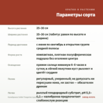 Калибрахоа Colibri Tangerine (срезы/5шт) — параметры сорта