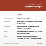 Калибрахоа Colibri Tangerine (срезы/5шт) — параметры сорта