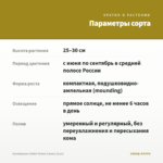 Калибрахоа Colibri Yellow Canary (0,1л) — параметры сорта