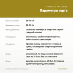 Калибрахоа Colibri Yellow Canary (0,1л) — параметры сорта
