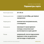 Калибрахоа Colibri Yellow Canary (срезы/5шт) — параметры сорта
