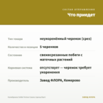 Калибрахоа Colibri Yellow Canary (срезы/5шт) — что приедет