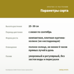 Калибрахоа Colibri Yellow Canary (срезы/5шт) — параметры сорта
