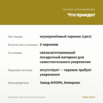 Калибрахоа Colibri Yellow Canary (срезы/5шт) — что приедет