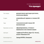 Калибрахоа Dracula (0,1л) — что приедет