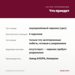 Калибрахоа Dracula (срез/5шт) — что приедет