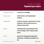 Калибрахоа Dracula (срез/5шт) — параметры сорта