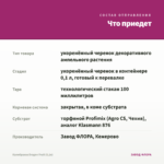 Калибрахоа Dragon Fruit (0,1л) — что приедет
