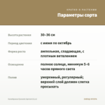 Калибрахоа Eyeconic Apricot (0,1л) — параметры сорта