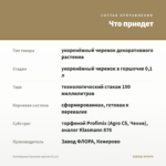 Калибрахоа Eyeconic Apricot (0,1л) — что приедет