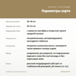 Калибрахоа Eyeconic Apricot (0,1л) — параметры сорта
