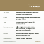 Калибрахоа Eyeconic Apricot (0,1л) — что приедет