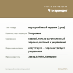 Калибрахоа Eyeconic Apricot (срезы/5шт) — что приедет