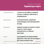 Калибрахоа Eyeconic Cherry Blossom (0,1л) — параметры сорта